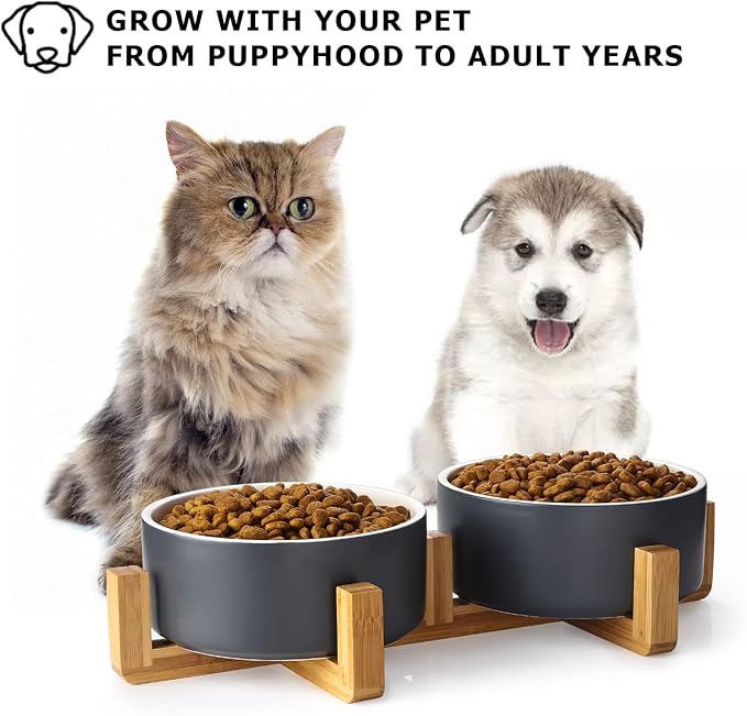 Y YHY Ceramic Pet Feeder, 24oz Dog & Cat Bowls with Wooden Stand, Modern Double Bowls Set - Dishwasher Safe