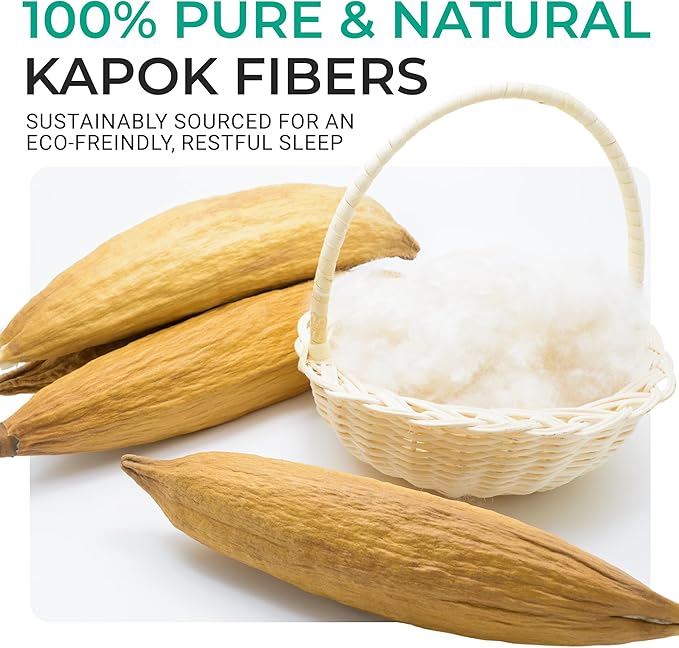 Cheer Collection Set of 2 Organic Kapok Bed Pillows, Natural Kapok Fiber Filled Sleeping Pillows with Breathable Cotton Shell, Standard Size, 20 x 28 inches