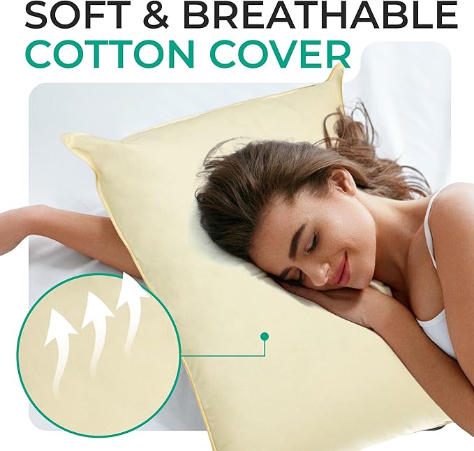 Cheer Collection Set of 2 Organic Kapok Bed Pillows, Natural Kapok Fiber Filled Sleeping Pillows with Breathable Cotton Shell, King Size, 20 x 36 inches