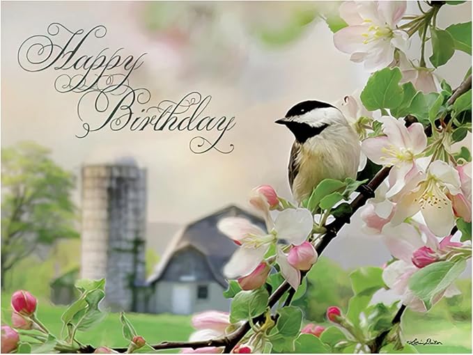 Leanin' Tree, Country Daydreams, Greeting Cards Assortment Box, Assorted Cards with Envelopes All Occasion, (20 Assorted Cards, 22 Colorful Envelopes)