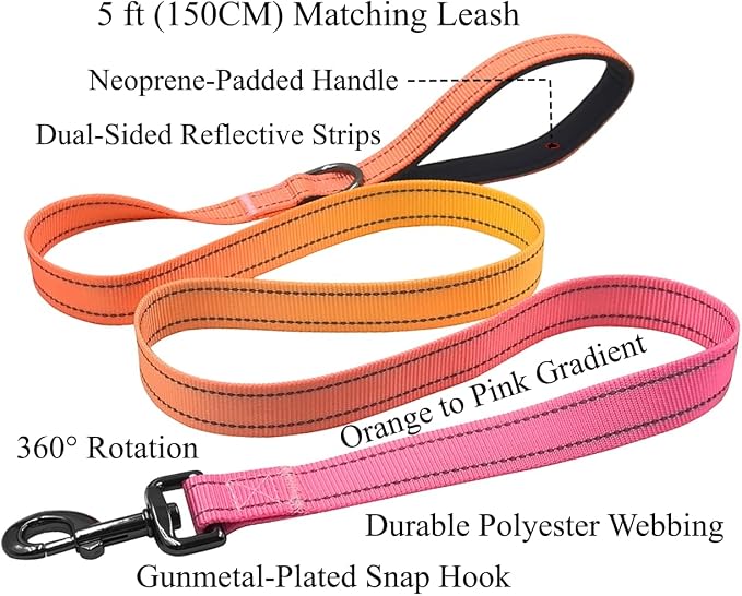 Dog Collar Leash Set, Gradient Color, with Safety Reflective Strips, 5 ft Matching Leash, Neoprene Padded Handle, Adjustable 4 Sizes for Small Medium Large Dogs.(L, Orange Pink)