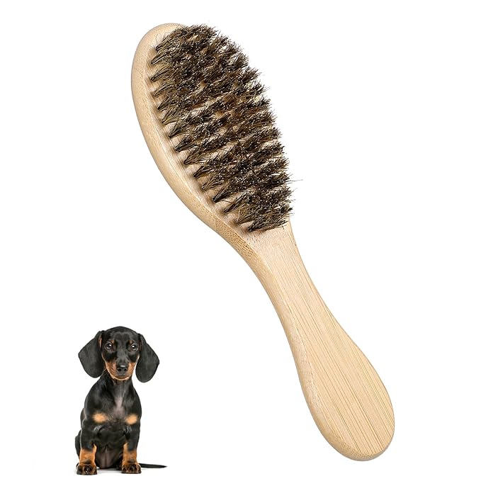 Bristle Dog Brush for Short Haired, Gentle Deshedding & Grooming Tool, Ideal Pet Hair Brush Puppy Essentials for Grooming and Shedding, Short Hair Dog Brushes