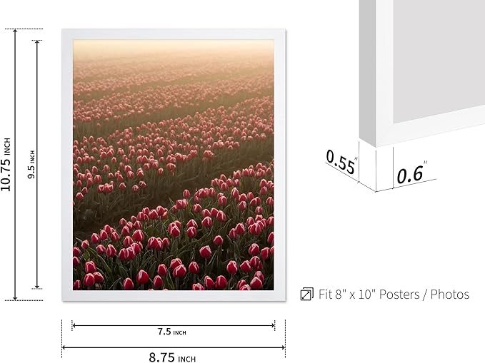 Monem Art Golden Tulip Field Sunset Photography Print - Romantic Spring Landscape Art Poster - Wall Decor for Living Room, Bedroom or Office - 8x10 White Framed Wall Art by Mareike Bohmer