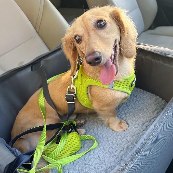Best Pet Supplies Voyager Step-in Air All Weather Mesh Harness and Reflective Dog 5ft Leash Combo with Neoprene Handle, for Small, Medium and Large Breed Puppies - Lime Green, X-Large