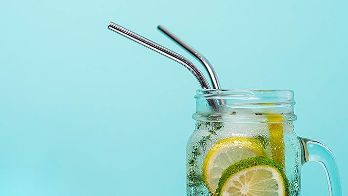 Reusable Drinking Straws, Stainless Steel, 4 Bent, 2 Straight, 2 Cleaning Brushes, 6 Silicone Flex Tips - Mixing Drinks or on the Go