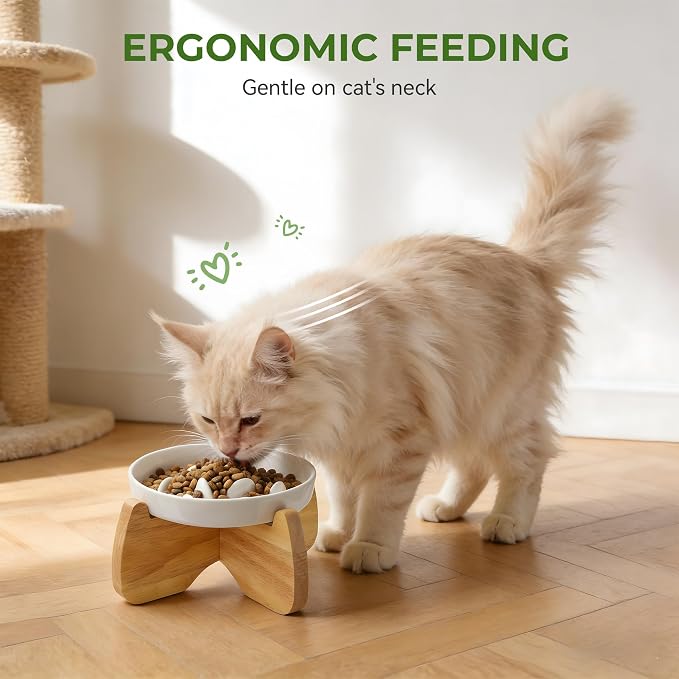 Raised Slow Feeder Cat Bowl with Stand, 6.3'' Wide Ceramic Elevated Shallow Slow Eating Cat Bowl for Dry/Wet Food, Anti-Vomiting Pet Puzzle Feeder, Whisker Friendly, Dishwasher Safe (2 Pack) | Anti-Gulping & Keep Fit, Dishwasher Safe, For Dry and Wet F...