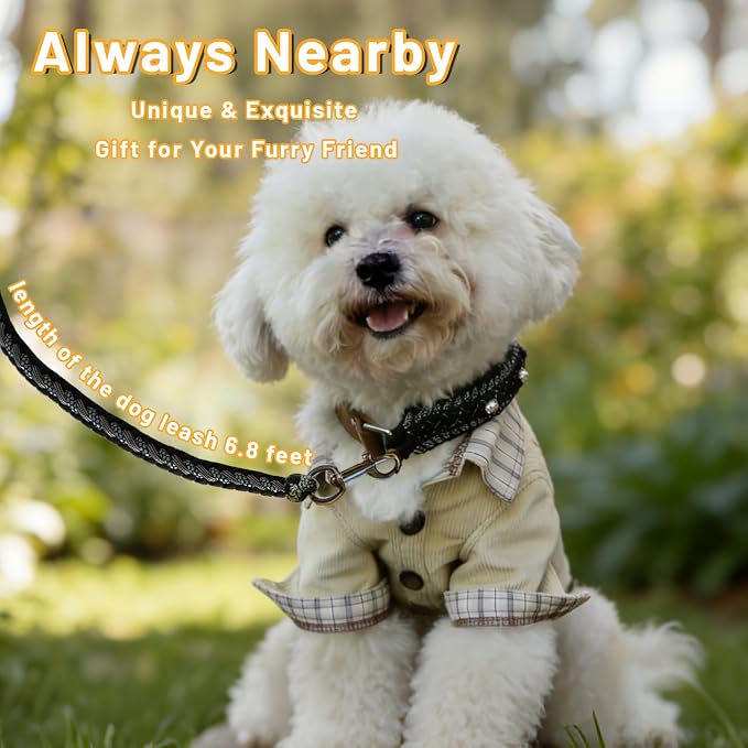 Paracord Dog Collar, Adjustable Soft Nylon Pet Collars for Medium Large Dogs(19"-23"), Stylish Pet Gear for Boys, L(Set of 1, Black Skull Collar+Leash)