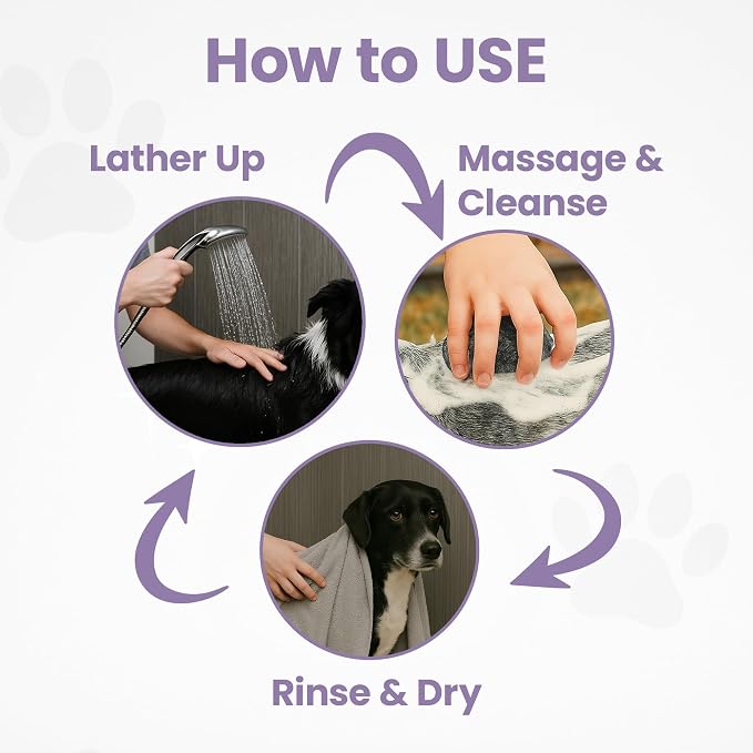 Project Sudz Gentle All Natural Dog Shampoo for Dry Coat for Sensitive Skin | Bar Shampoo for Dogs | Organic Dog Shampoo Sensitive Skin | Lavender (1)