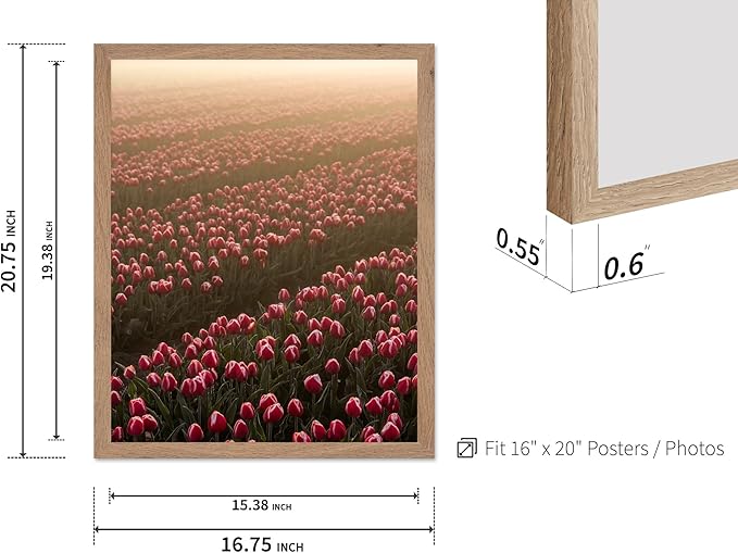 Monem Art Golden Tulip Field Sunset Photography Print - Romantic Spring Landscape Art Poster - Wall Decor for Living Room, Bedroom or Office - 16x20 Beige Framed Wall Art by Mareike Bohmer
