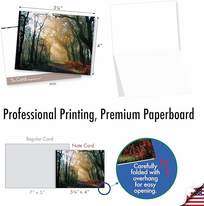 The Best Card Company - Box of 10 All Occasion Cards Blank (4 x 5.12 Inch) - Scenic Landscape Cards Assorted - Shining Through M1735BN