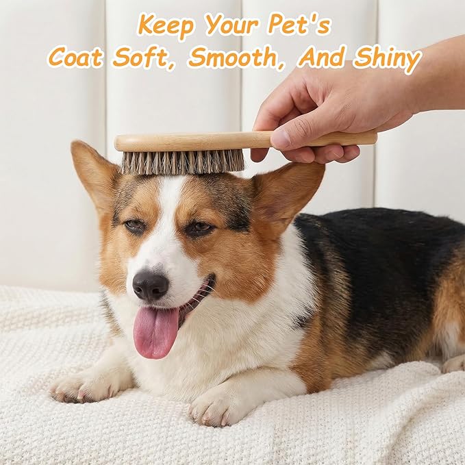 Bristle Dog Brush for Short Haired, Gentle Deshedding & Grooming Tool, Ideal Pet Hair Brush Puppy Essentials for Grooming and Shedding, Short Hair Dog Brushes
