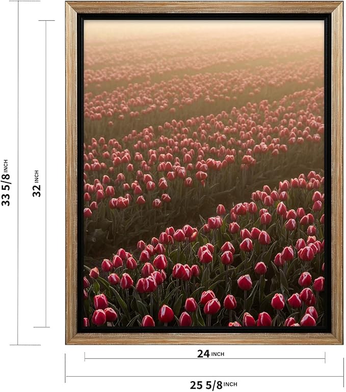 Monem Art Golden Tulip Field Sunset Photography Print - Romantic Spring Landscape Art Poster - Wall Decor for Living Room, Bedroom or Office - 24x32 Silver Framed CANVAS Wall Art by Mareike Bohmer
