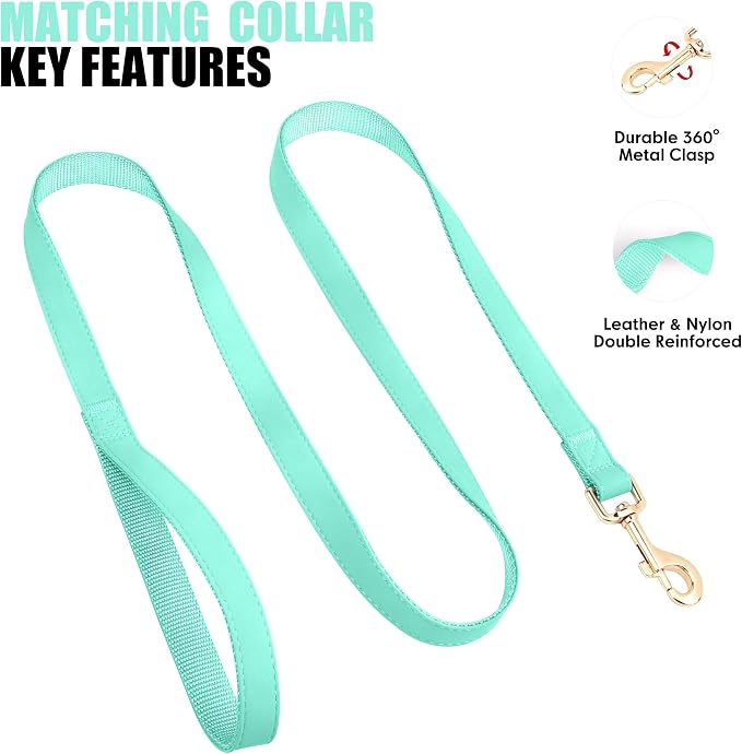 PET ARTIST Soft PU Leather Dog Collar and Leash Set, Bright & Stylish 5FT PU Leather Leash and Collar Set, Durable Pet Collars with Quick Release Metal Buckle for Medium Dogs,Mint Green,M(13-19")