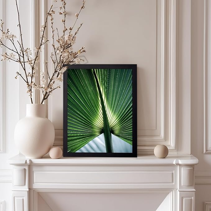 Monem Art Tropical Palm Leaf Macro Photography Print - Minimalist Botanical Nature Art Poster - Wall Decor for Living Room, Bedroom or Office - 12x16 Black Framed Wall Art by Mareike Bohmer