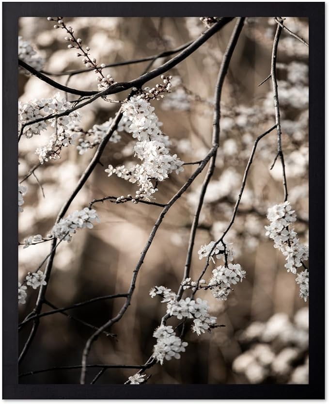 Monem Art Cherry Blossom Branch Photography Print - Moody Botanical Nature Art Poster - Wall Decor for Living Room, Bedroom or Office - 8x10 Black Framed Wall Art by Mareike Bohmer