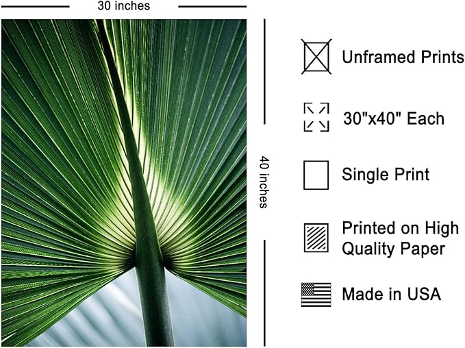 Monem Art Tropical Palm Leaf Macro Photography Print - Minimalist Botanical Nature Art Poster - Wall Decor for Living Room, Bedroom or Office - 30x40 Unframed Wall Art by Mareike Bohmer