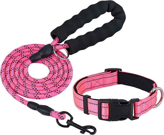 Dog Leash and Collar Set – 6 FT Strong Rope Leash with Padded Handle & Adjustable Nylon Collar Reflective for Small Medium Large Dogs (Pink, M)