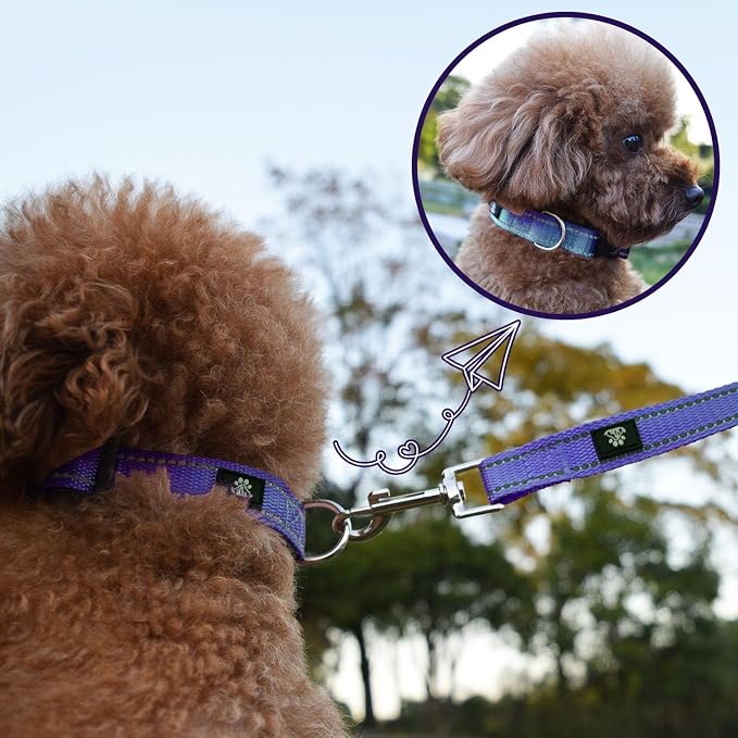 NESTROAD Dog Collar and Leash Set,Reflective Dog Collars with Quick Release Buckle,Adjustable Nylon Pet Collar for Small Medium Large Dogs(Medium,Purple)