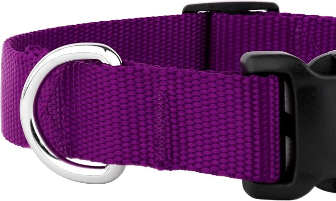 Country Brook Petz - Everyday Nylon Dog Collar and Leash - 10+ Cool Colors (3/8 Inch, Extra Small, Purple)