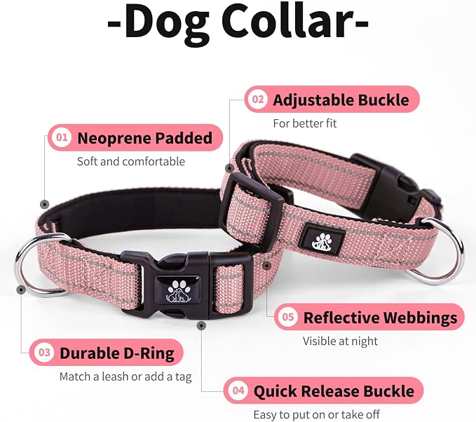 IVY&LANE Reflective Dog Collar and Leash Set,Adjustable Neoprene Padded Dog Collars for Puppy, Breathable Nylon Pet Collar for Small Medium Large Dogs (Large,Pink)