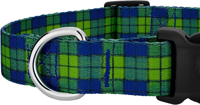 Country Brook Petz - Blue and Green Plaid Everyday Dog Collar and Leash - Plaid and Argyle Collection Featuring Charming Designs (1 Inch, Medium)