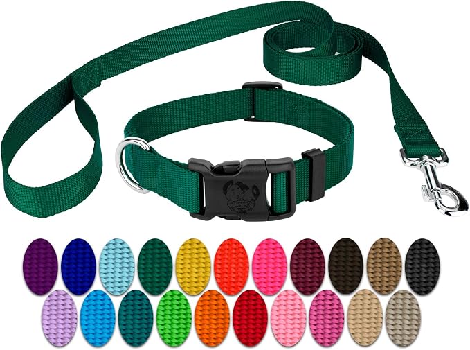 Country Brook Petz - Everyday Nylon Dog Collar and Leash - 10+ Cool Colors (1 Inch, Extra Large, Green)