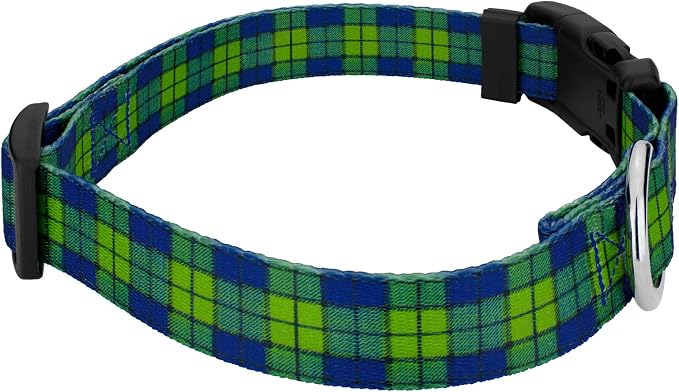 Country Brook Petz - Blue and Green Plaid Everyday Dog Collar and Leash - Plaid and Argyle Collection Featuring Charming Designs (1 Inch, Large)