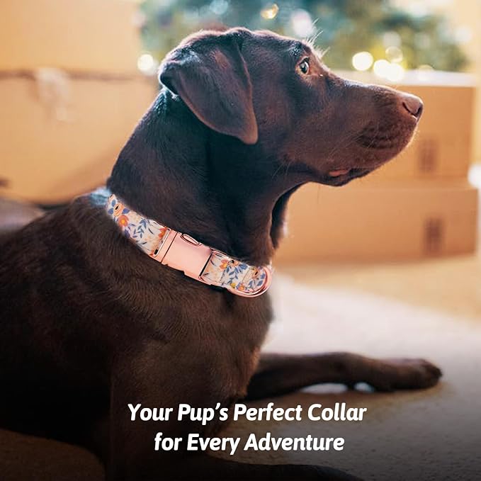 Dog Collar and Leash Set Girls Adjustable Puppy Collars with Floral Bow Tie for Small Medium Large Female Dogs, Orange Flower, M
