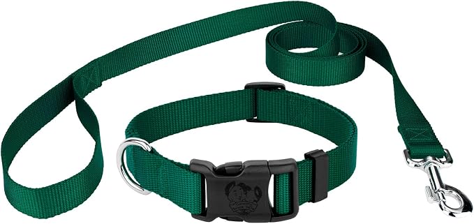Country Brook Petz - Everyday Nylon Dog Collar and Leash - 10+ Cool Colors (3/4 Inch, Medium, Green)