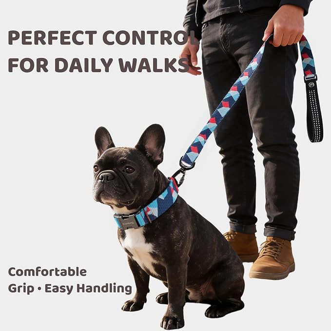 EVERKING Dog Collar & Leash Set for Everyday Walking | Matching adjustable collar and leash set with reflective handle and heavy-duty hardware for comfortable everyday dog walks.