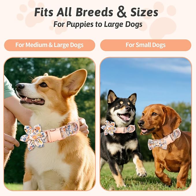 Dog Collar and Leash Set Girls Adjustable Puppy Collars with Floral Bow Tie for Small Medium Large Female Dogs, Orange Flower, L