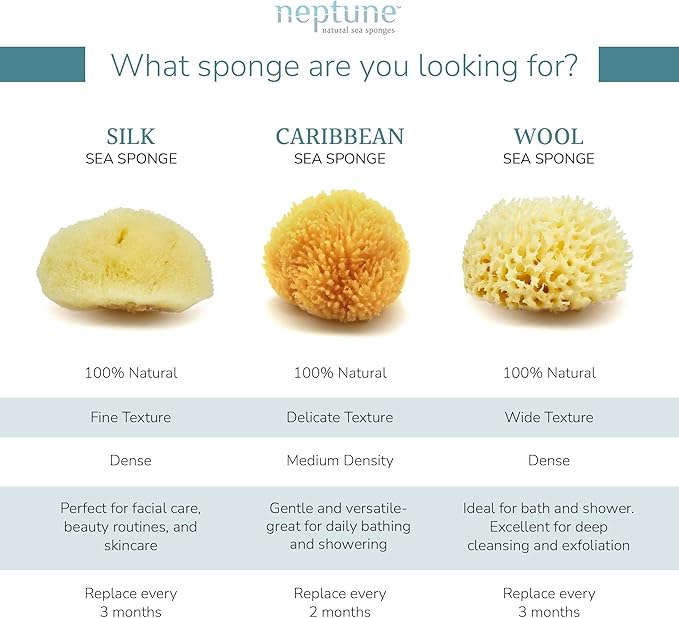 Neptune Caribbean Sea Sponge for Face & Body, Medium Approx. 5-6 Inch, Ultra-Soft Bath Sponge, Eco-Friendly & Biodegradable