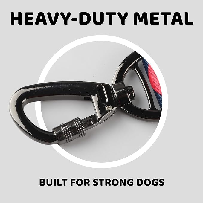 EVERKING Dog Collar & Leash Set for Everyday Walking | Matching adjustable collar and leash set with reflective handle and heavy-duty hardware for comfortable everyday dog walks.