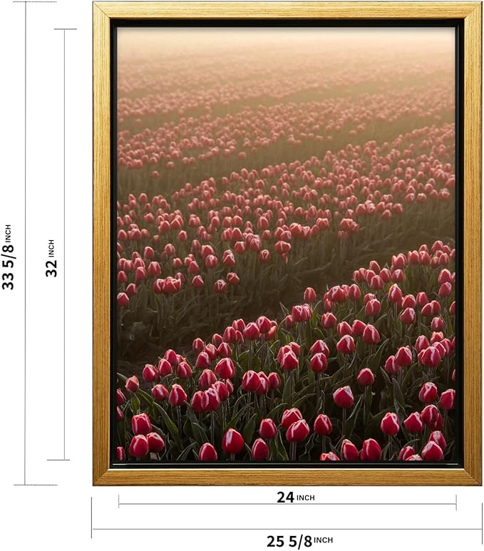 Monem Art Golden Tulip Field Sunset Photography Print - Romantic Spring Landscape Art Poster - Wall Decor for Living Room, Bedroom or Office - 24x32 Gold Framed CANVAS Wall Art by Mareike Bohmer