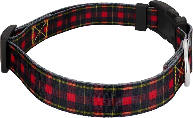 Country Brook Petz - Buffalo Plaid Everyday Dog Collar and Leash - Plaid and Argyle Collection Featuring Charming Designs (1 Inch, Extra Large)