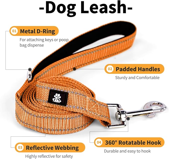 IVY&LANE Reflective Dog Collar and Leash Set,Adjustable Neoprene Padded Dog Collars for Puppy, Breathable Nylon Pet Collar for Small Medium Large Dogs (Medium,Orange)