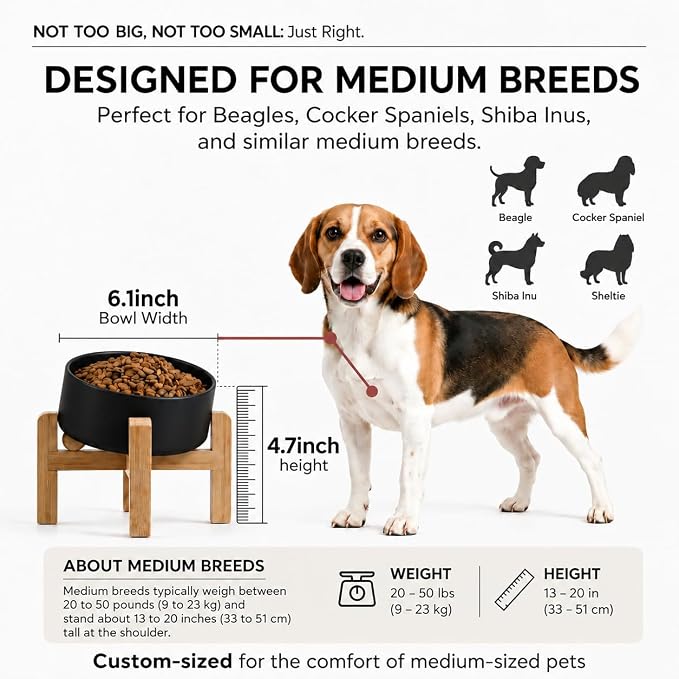 hjn Elevated Ceramic Dog Bowl/Raised Ceramic Dog Bowls with Bamboo Stand, 15°Slanted Raised Pet Feeder for Small Medium Dogs and Cats, Non-Slip Heavy Weighted Design (Black, 3.6Cup)