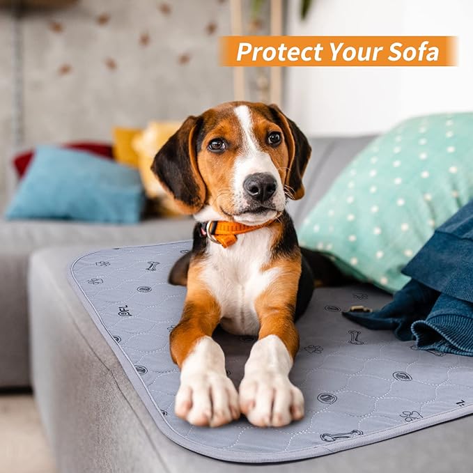 Washable Pee Pads for Dogs, 4Pack Reusable Puppy Training Pads 34x36, Absorbent Whelping Pads with Bone Print, Non-Slip Waterproof Pet Training Pads for Couch, Crate, Potty Training