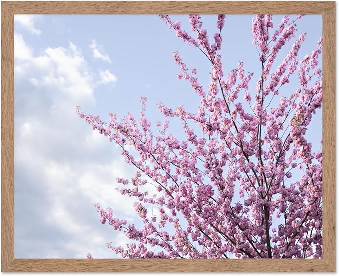Monem Art Cherry Blossom Spring Sky Photography Print - Floral Nature Art Poster - Wall Decor for Living Room, Bedroom or Office - 16x20 Beige Framed Wall Art by Mareike Bohmer