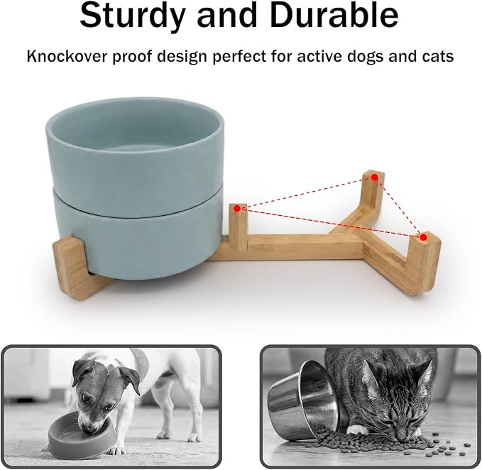 MateeyLife Ceramic Dog and Cat Bowls with Stand, 2-Pack Food and Water Bowl Set - Non-Slip Pet Bowls for Small & Medium Size Dogs，28.7OZ(Green)