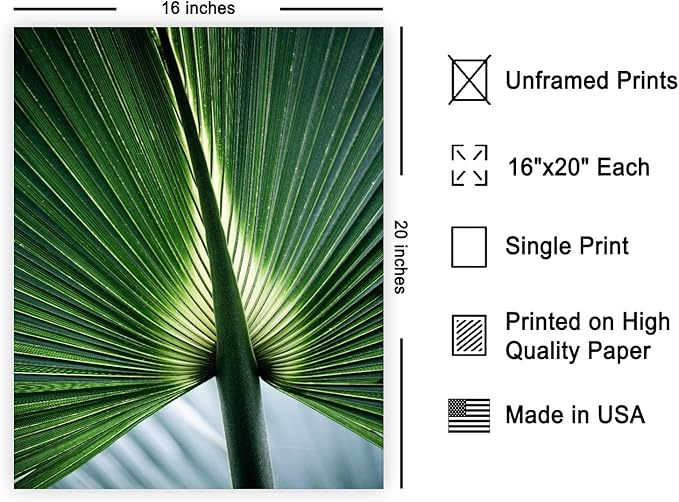 Monem Art Tropical Palm Leaf Macro Photography Print - Minimalist Botanical Nature Art Poster - Wall Decor for Living Room, Bedroom or Office - 16x20 Unframed Wall Art by Mareike Bohmer