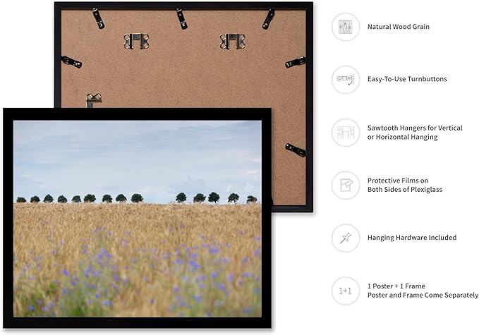 Monem Art Golden Meadow Horizon Landscape Print - Minimalist Nature Photography Poster - Wall Decor for Living Room, Bedroom or Office - 8x10 Black Framed Wall Art by Mareike Bohmer