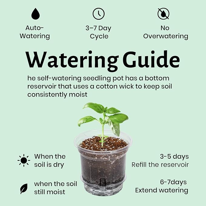 Bluepro 12 Pack 6.5 Inch Clear Self Watering Plant Pots with Bottom Water Tray & Watering Rope, Transparent Nursery Pots with Drainage for Seedlings, Herbs, and Houseplants