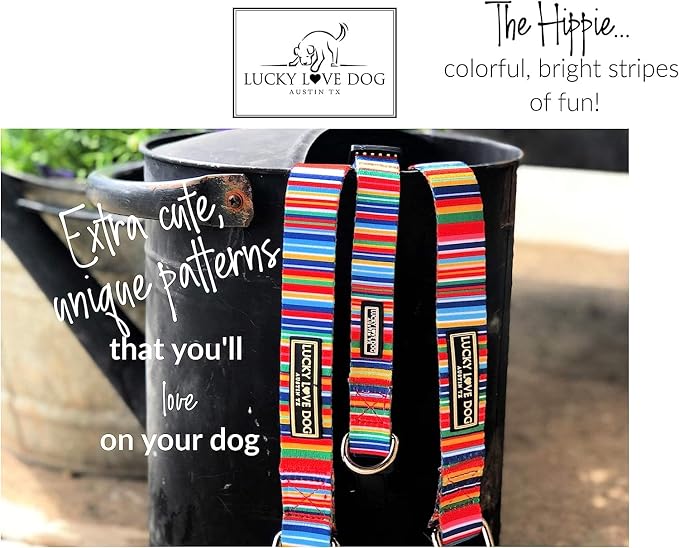 Lucky Love Dog Martingale Dog Collar & Leash - Adjustable, No-Slip, Durable, Comfortable, Soft Webbing, & Stylish Patterned Collar & Leash Set for Male and Female Dogs - Hippie Combo, Medium