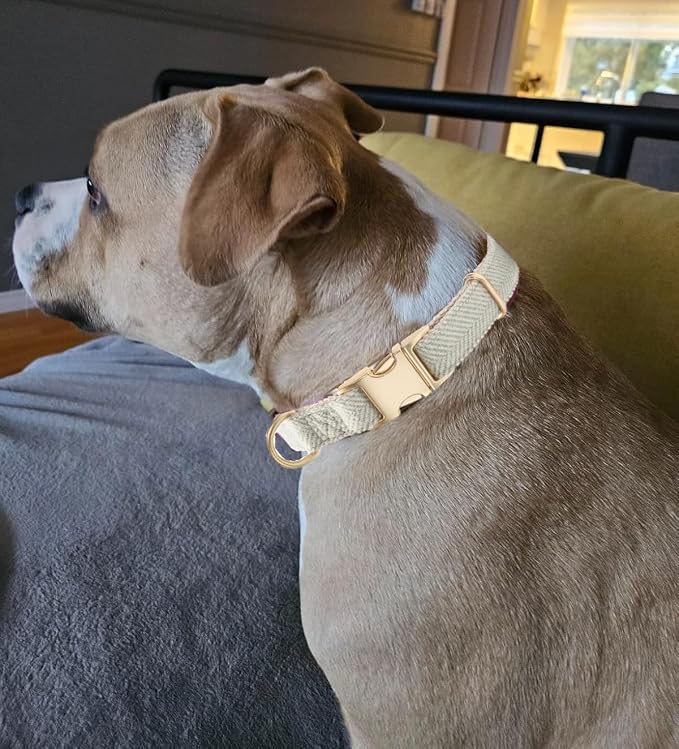 Soft Cotton Hemp Dog Collar with Metal Buckle Adjustable Twilled Dog Collars for Small Medium Large Dogs(Grey,Large)