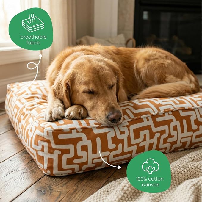 Molly Mutt Hypnotize Dog Bed Duvet Cover, GOTS-Certified 100% Organic Cotton Canvas Cover for Dog, Puppy, or Cat Bed, Durable, Washable, and Free of Harmful Chemicals, Medium/Large, 27"x36"x5"