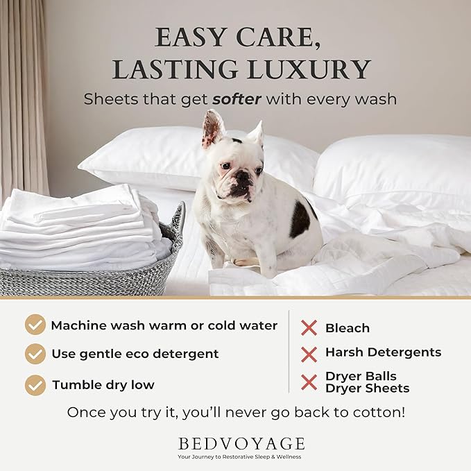 BedVoyage Ultra Soft King Pillowcase Set, Cooling & Breathable, Silky & Gentle to Skin and Hair, Luxury 100% Viscose Derived from Bamboo, 20x36 Envelope Closure, 2pc Set, King – Seaglass