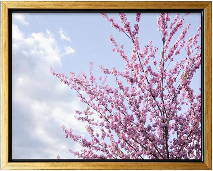 Monem Art Cherry Blossom Spring Sky Photography Print - Floral Nature Art Poster - Wall Decor for Living Room, Bedroom or Office - 18x24 Gold Framed CANVAS Wall Art by Mareike Bohmer