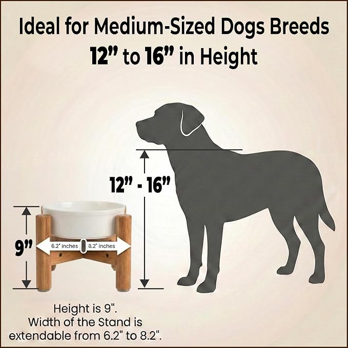 Dog Bowl Stand for Small-to-Medium Dogs - Adjustable, Easy Fold-Down, Comes with Foot Pads and Assembly Tool - Bamboo