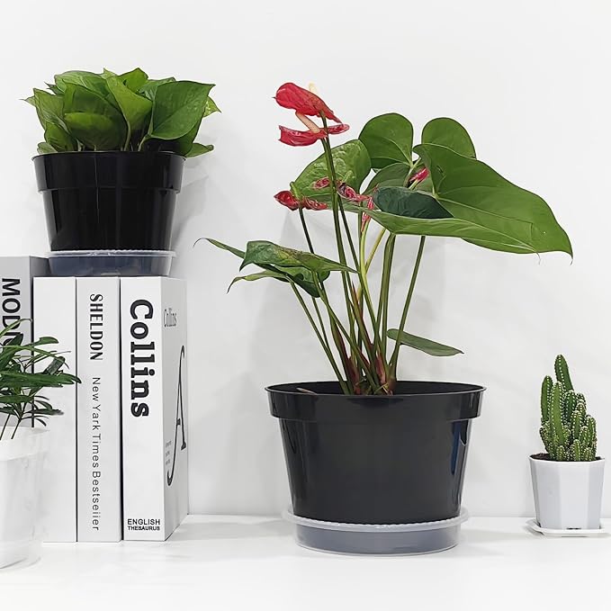 RooTrimmer 12 Pack Plant Pots, 8 Inch Plant Planter with Clear Saucer, Plastic Pots for Plants Indoor and Out Door Such as Strawberry, Herb and Flowers (Black)